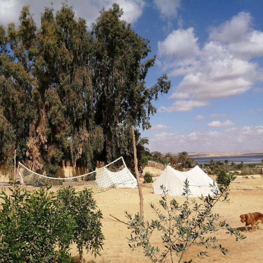 Tunis Village El-אל פאיום חדר תמונה