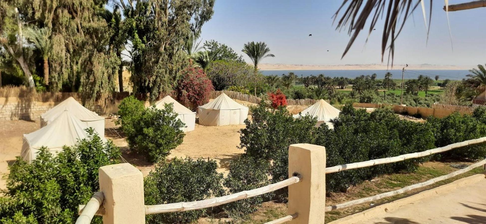 Tunis Village El-אל פאיום מראה חיצוני תמונה